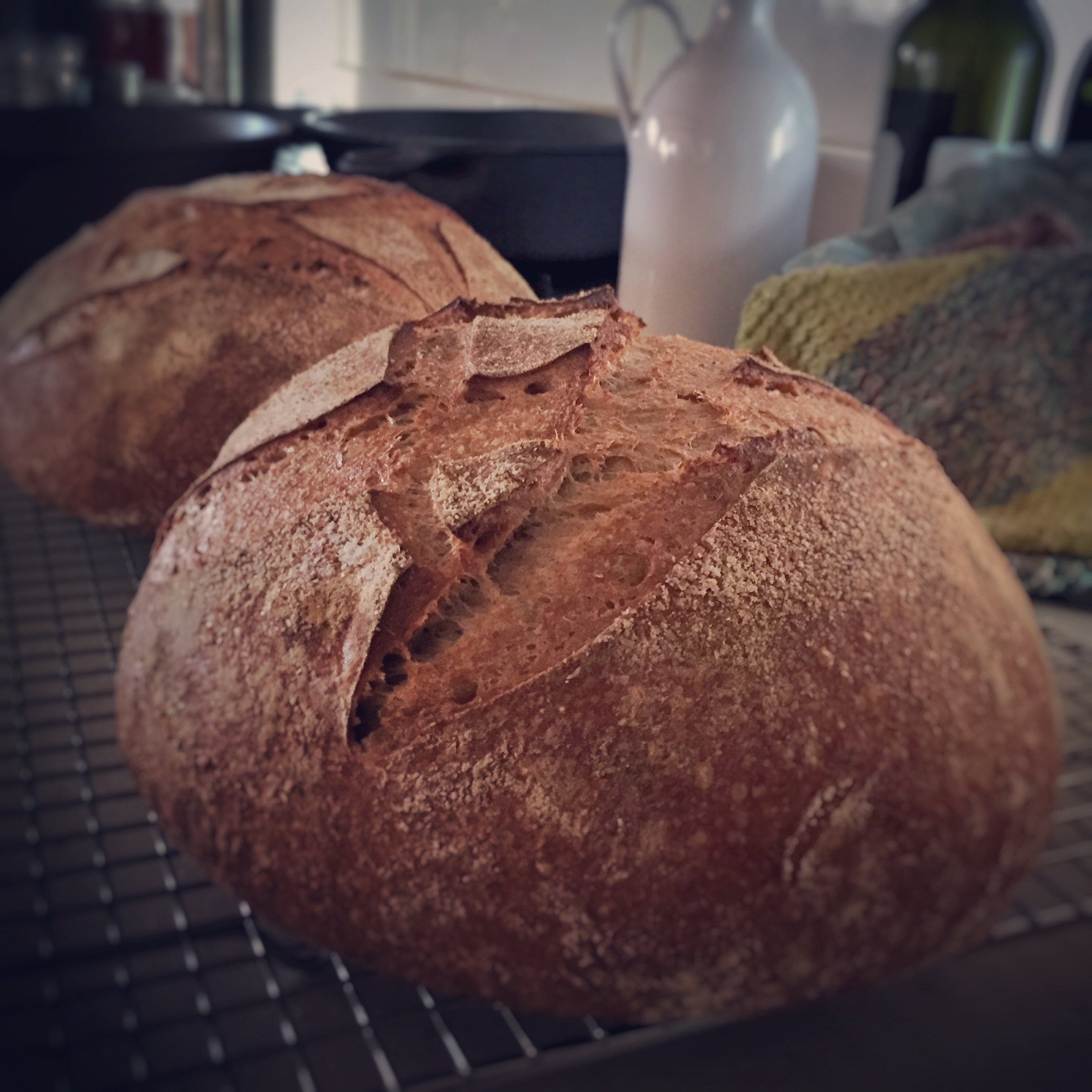 Red Wheat Levain